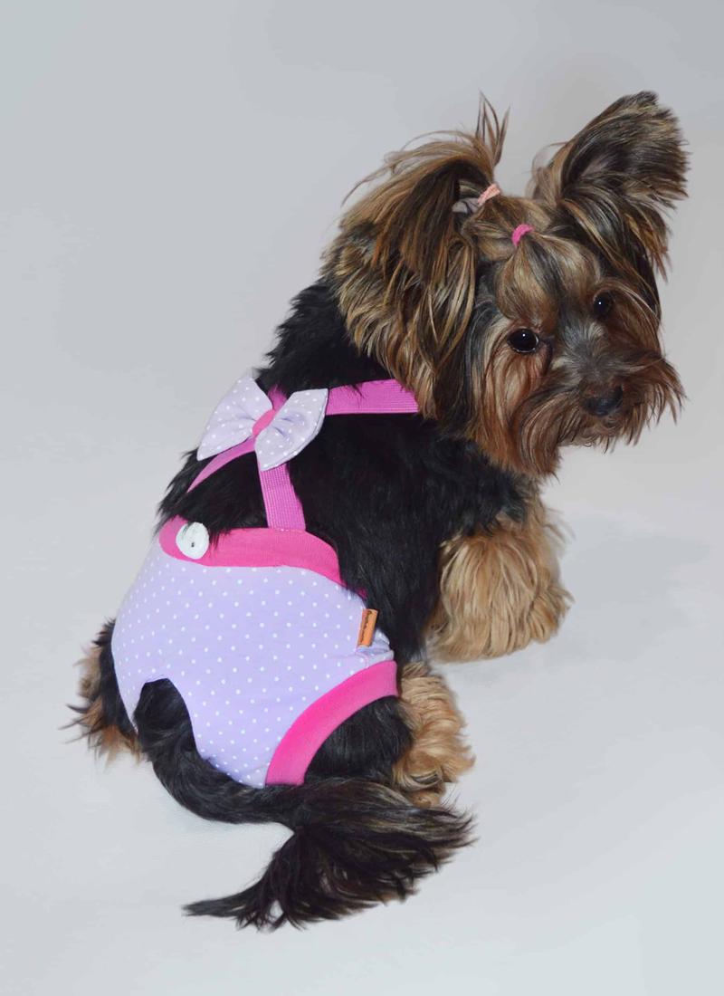 Dopasowanie i pomiary psa przed szyciem