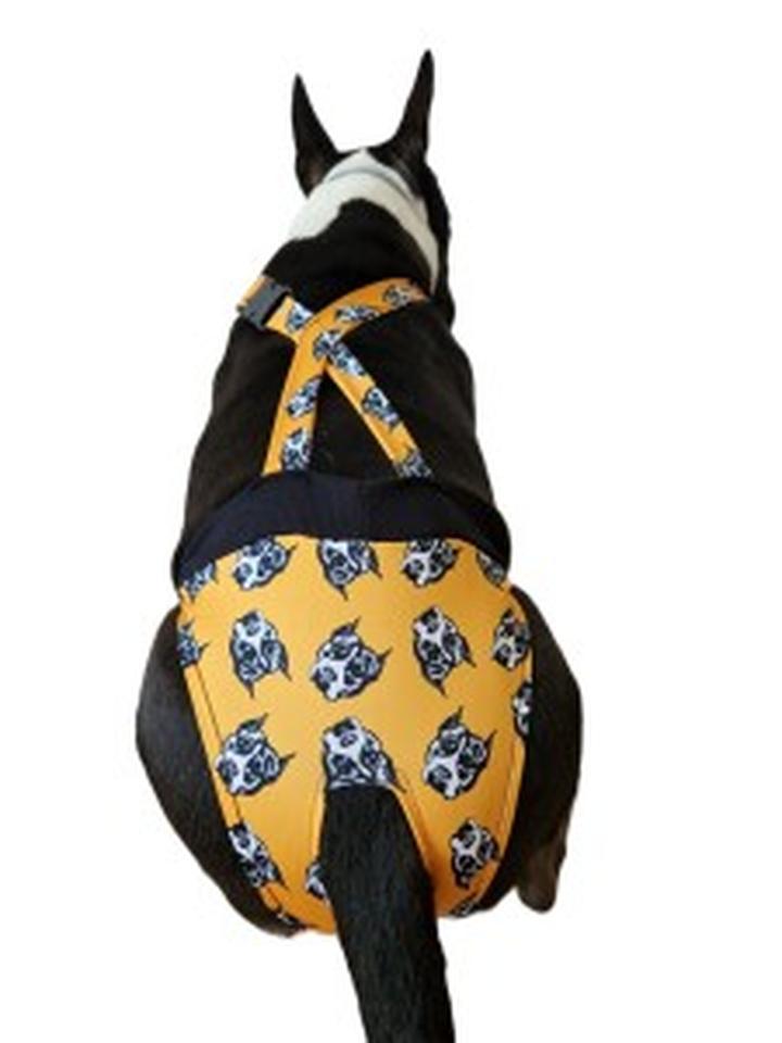 Stylizacje i dodatki do majtek dla psa