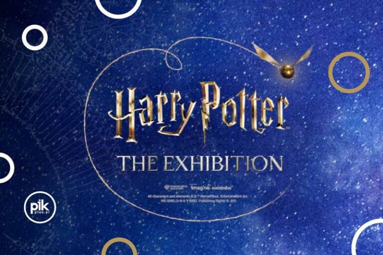 Jak samodzielnie stworzyć strój Harry’ego Pottera w kilku prostych krokach?