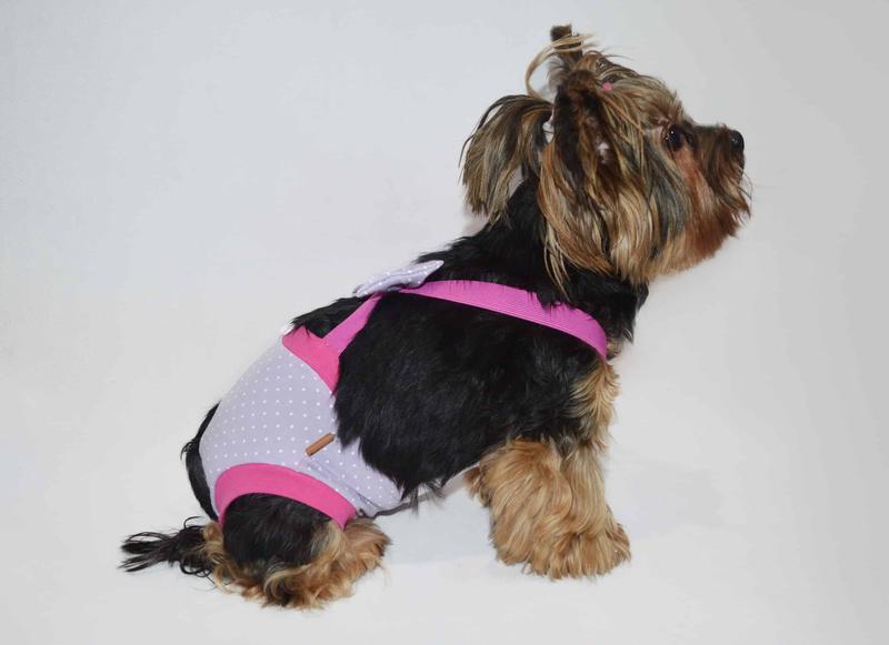 Jak samodzielnie uszyć majtki dla psa samca – krok po kroku